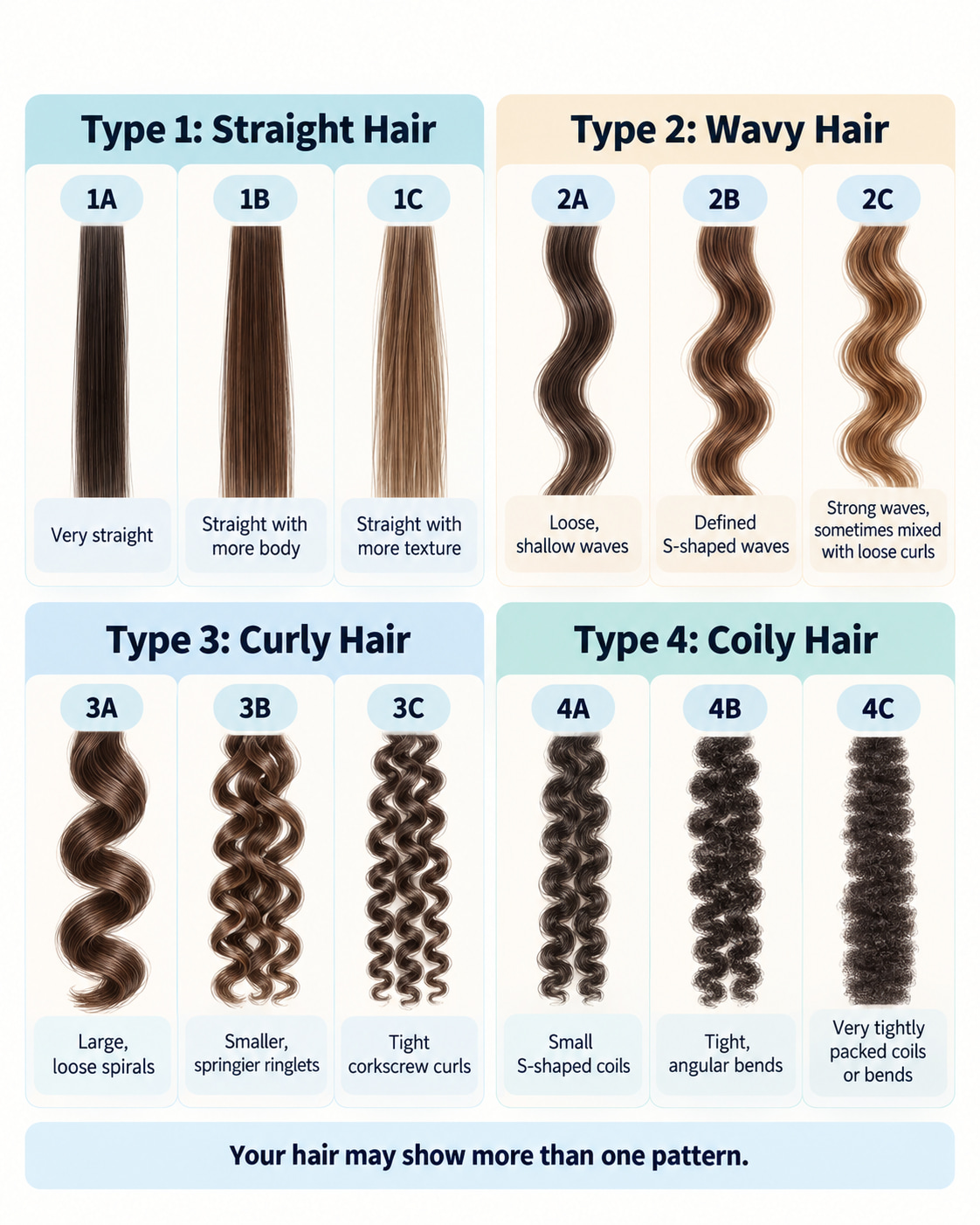 What Are the Different Types of Hair?