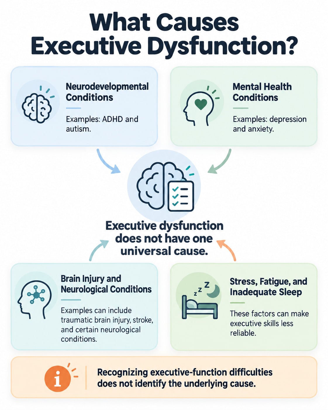 What Causes Executive Dysfunction?