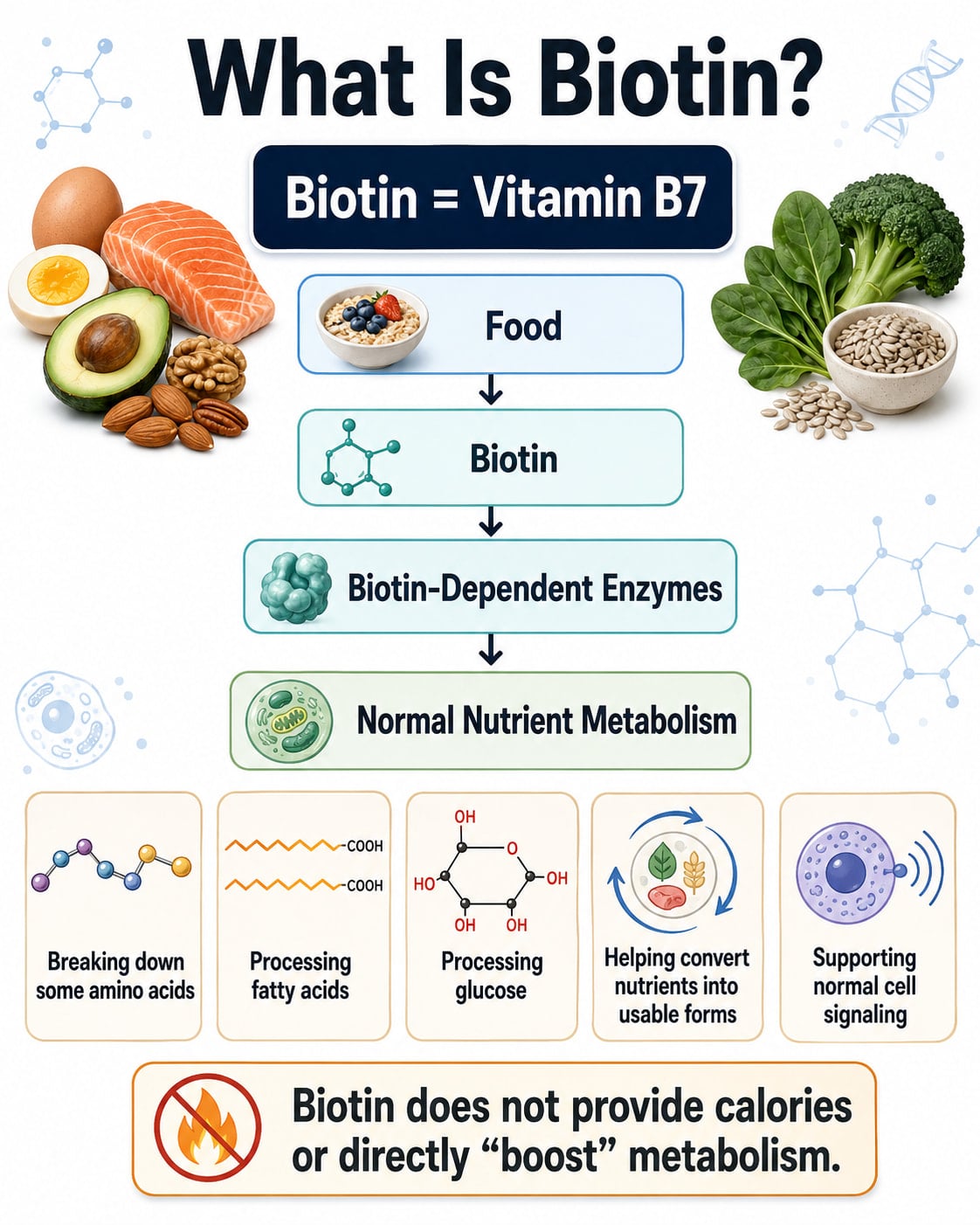 What Is Biotin?