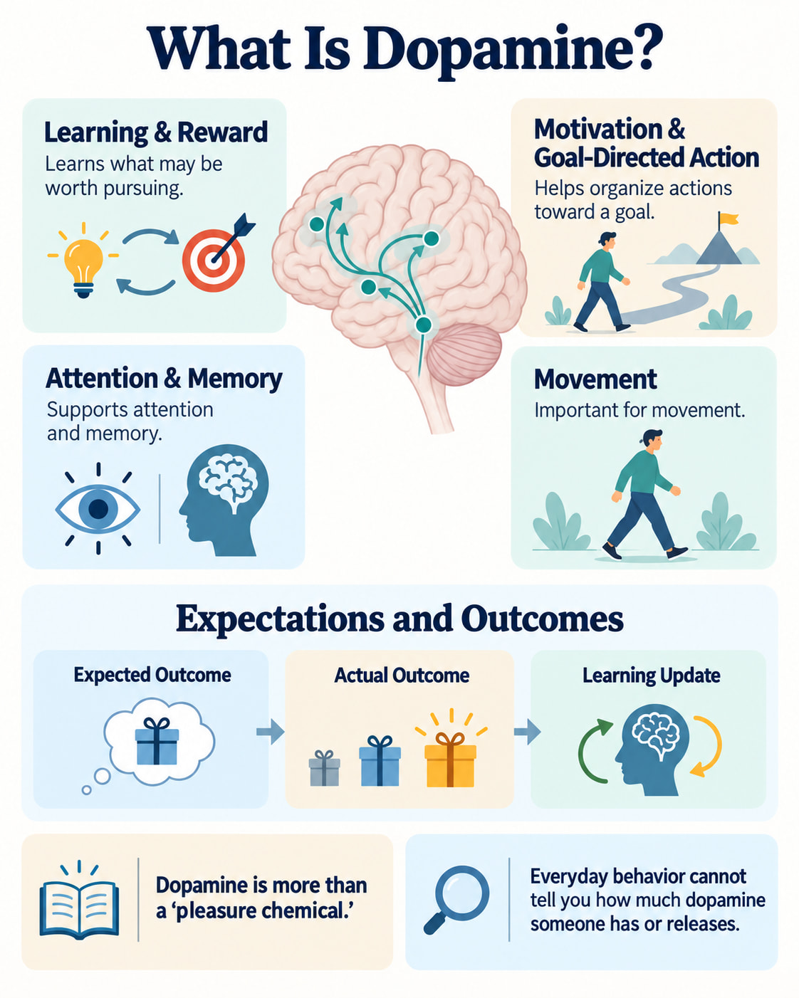 What Is Dopamine?
