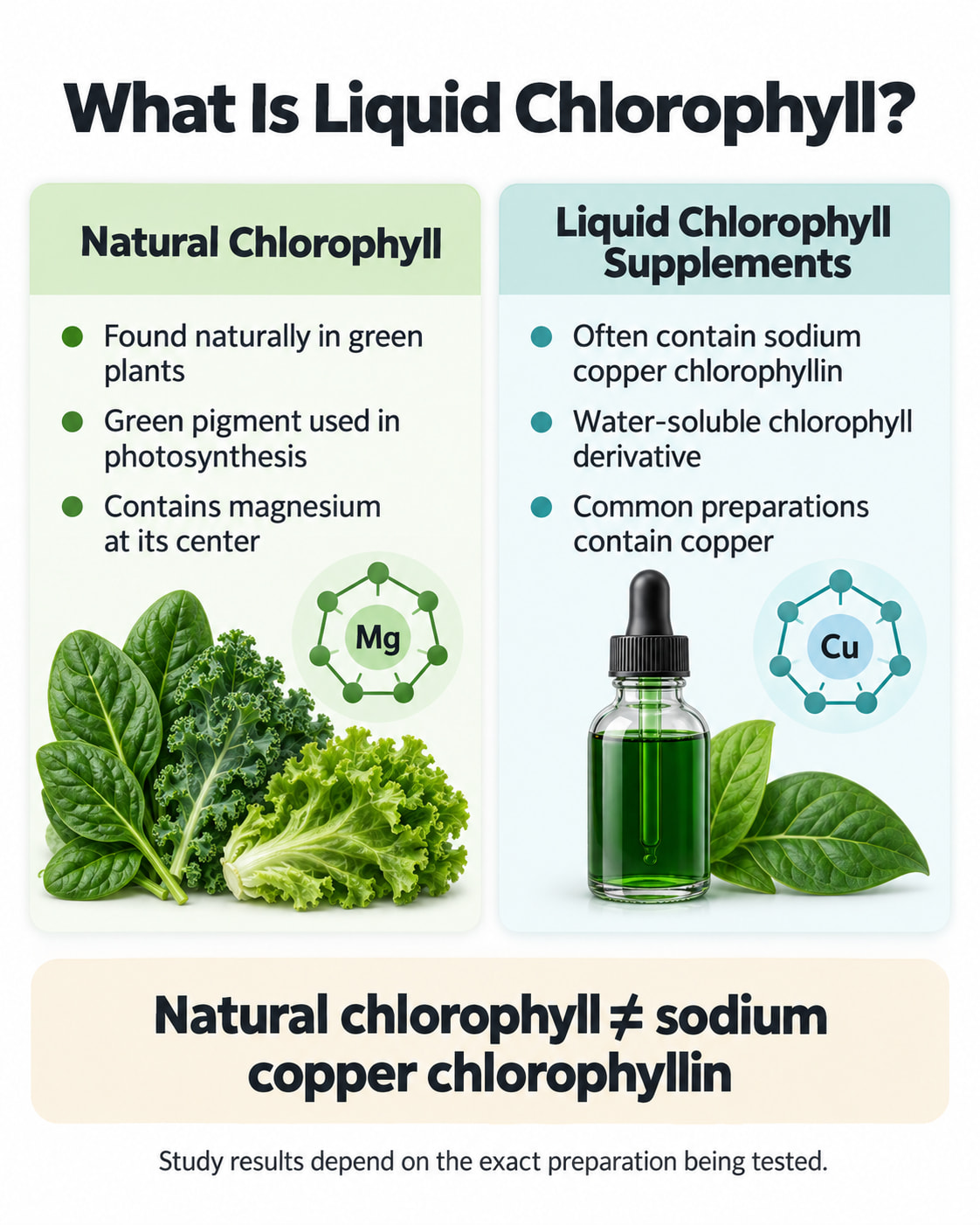 What Is Liquid Chlorophyll?