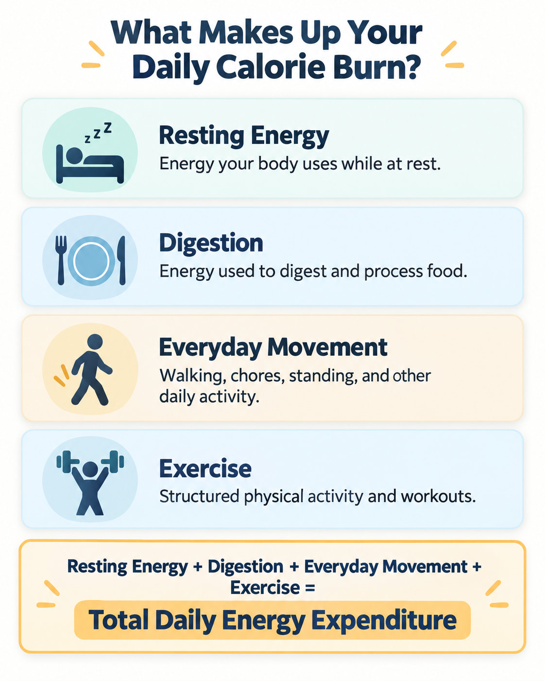 What Makes Up Your Daily Calorie Burn?