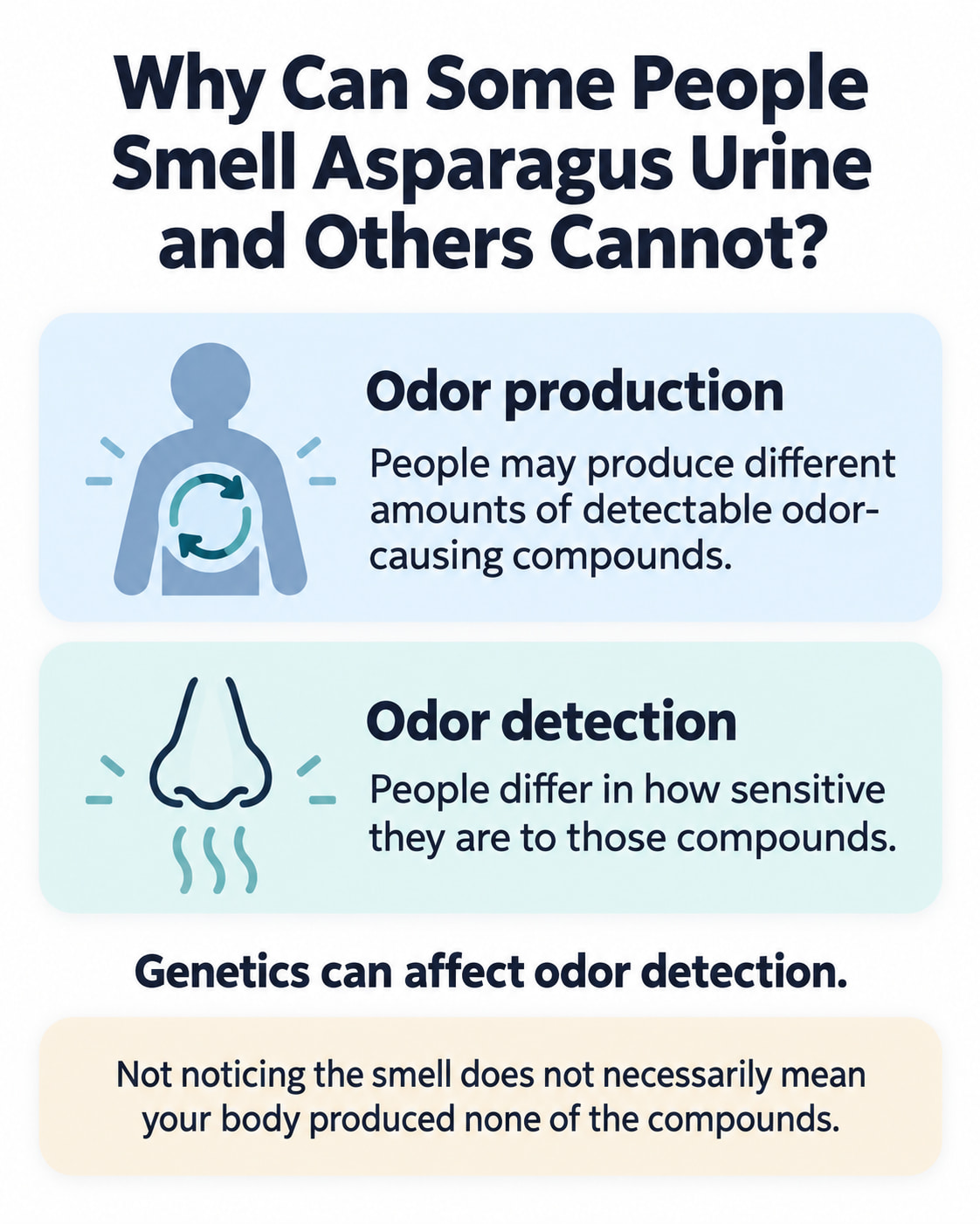 Why Can Some People Smell Asparagus Urine and Others Cannot?