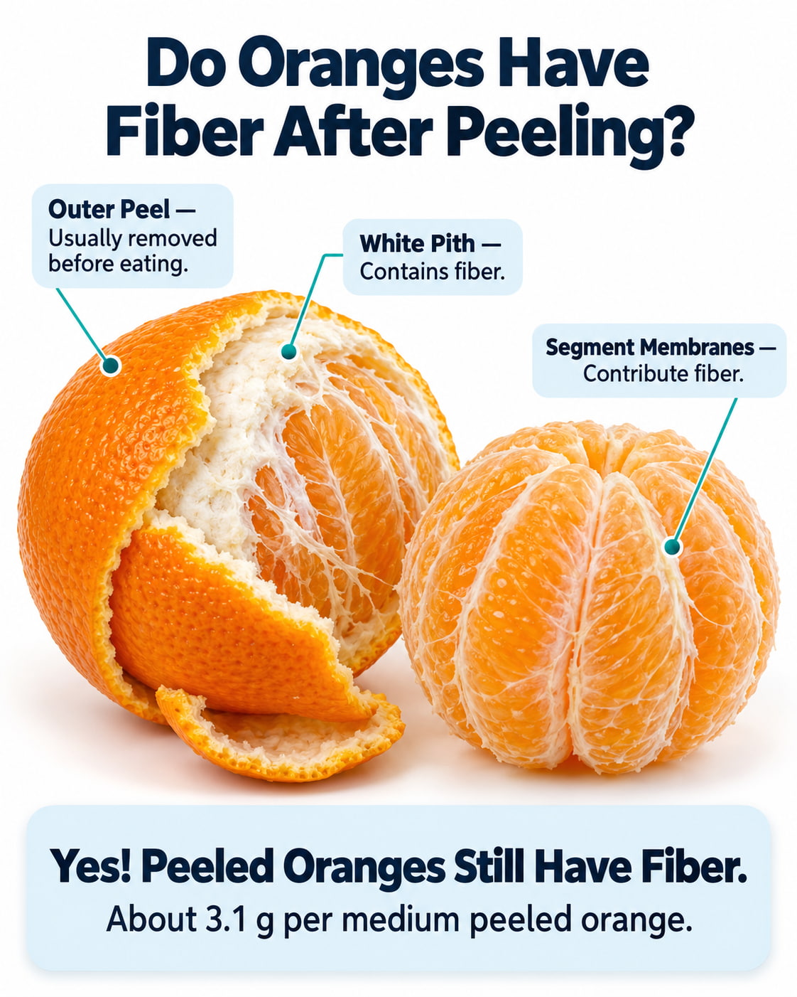 Do Oranges Have Fiber After Peeling?