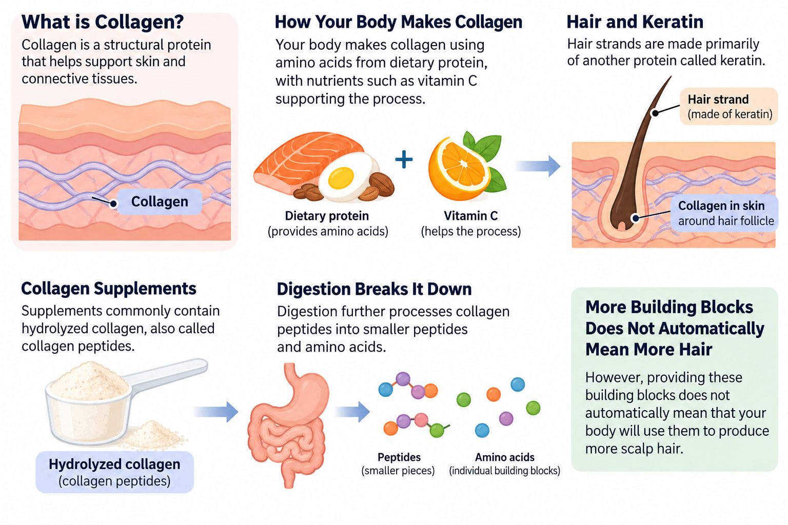 What Is Collagen, and How Is It Related to Hair?