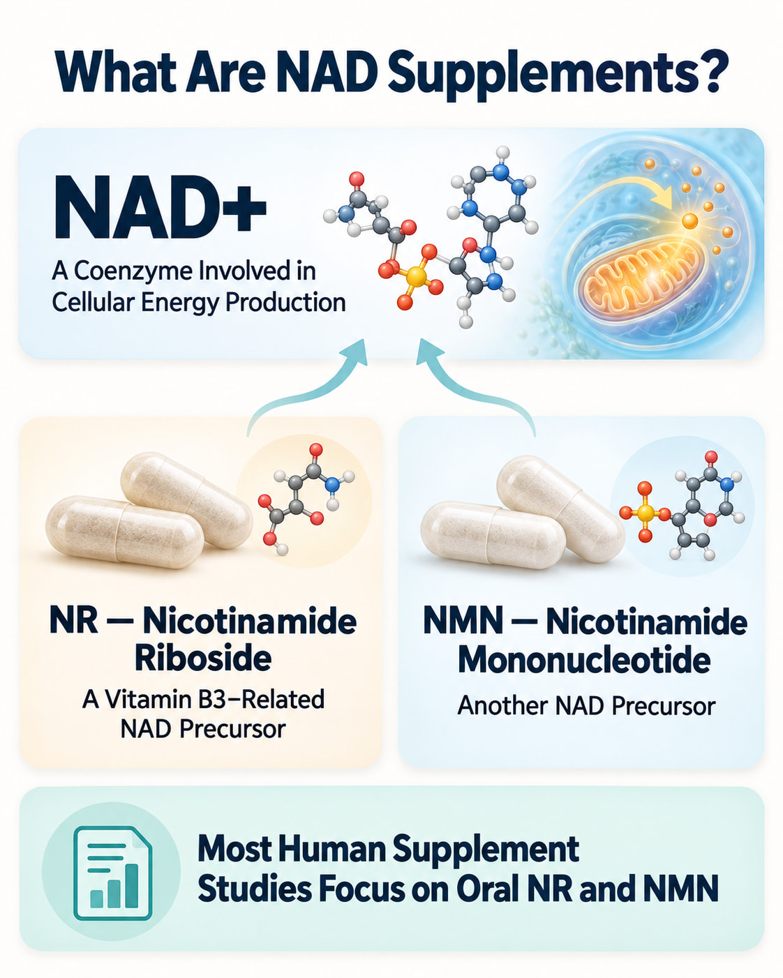 What Are NAD Supplements?