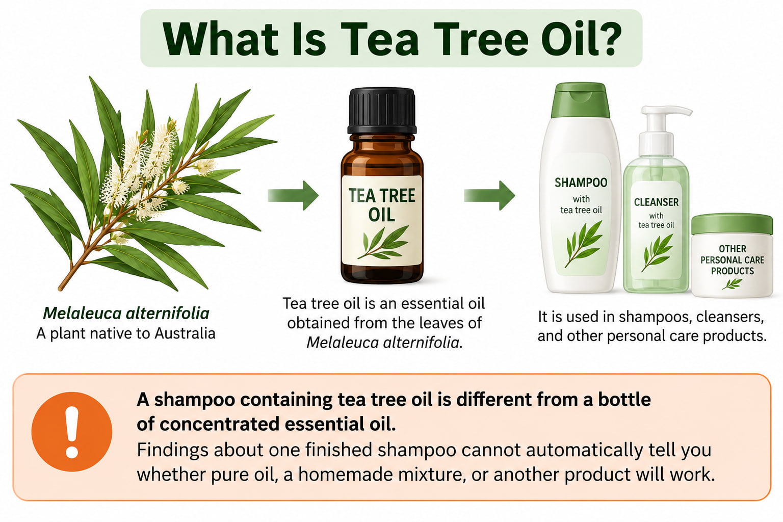 What Is Tea Tree Oil?