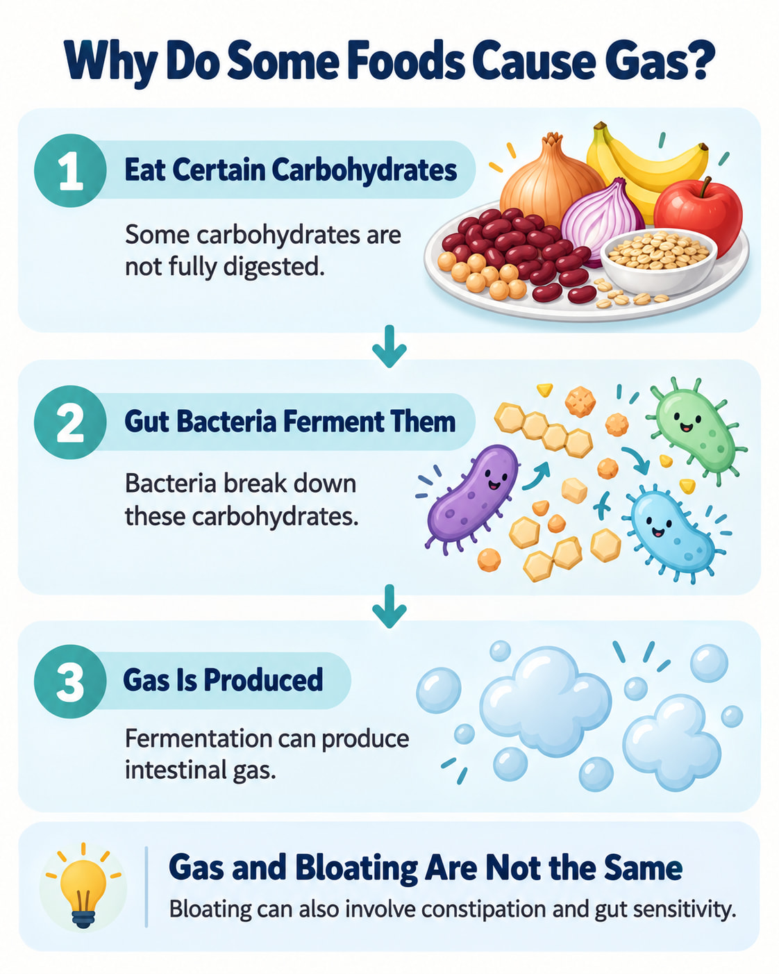 Why Do Some Foods Cause Gas?